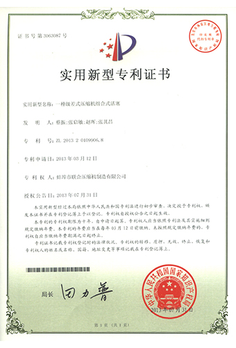 专利5